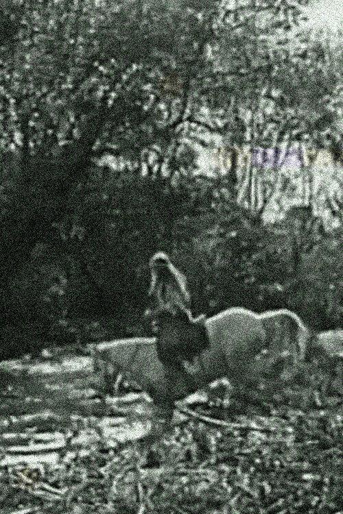 The White Squaw 1920 official movie poster