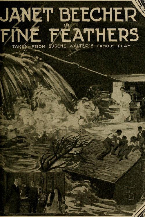Fine Feathers 1915 official movie poster