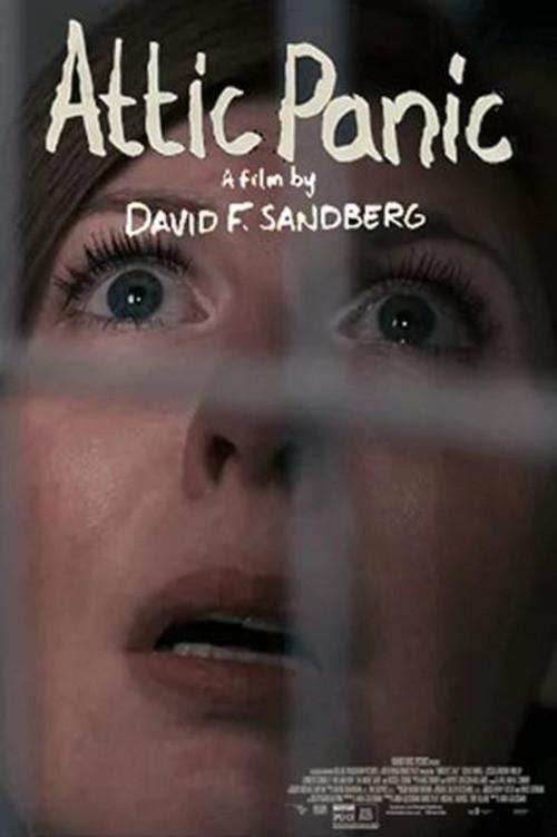 Attic Panic 2015 official movie poster
