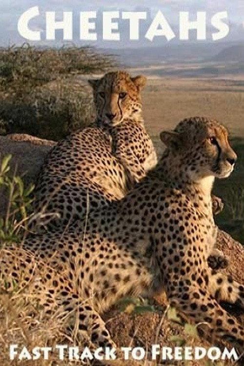 Cheetahs: Fast Track to Freedom 2004 official movie poster