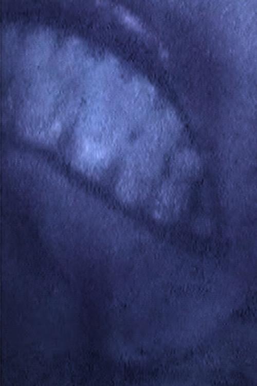 NOTHING GOSE 2000 official movie poster