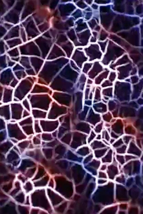 Compound Eye 2004 official movie poster