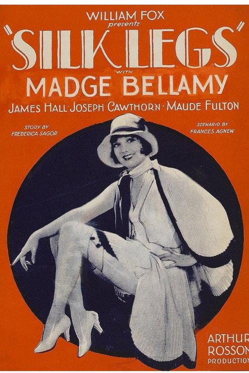 Silk Legs 1927 official movie poster