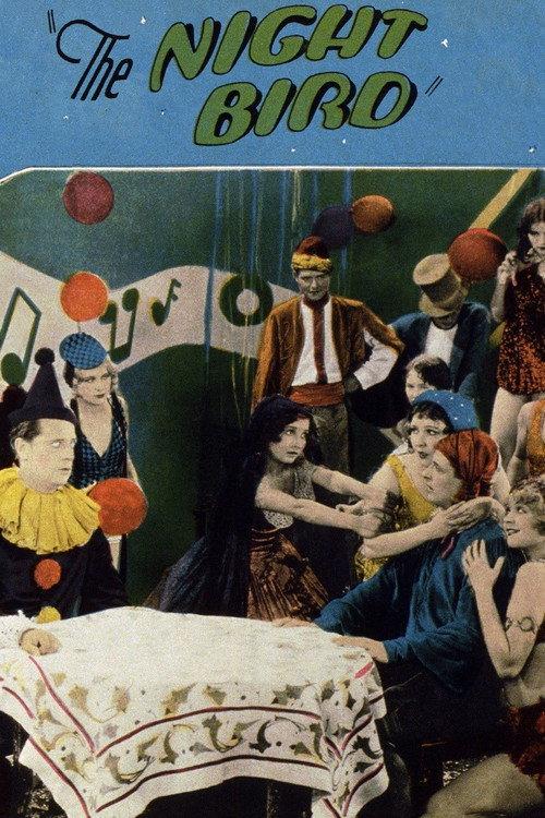 The Night Bird 1928 official movie poster