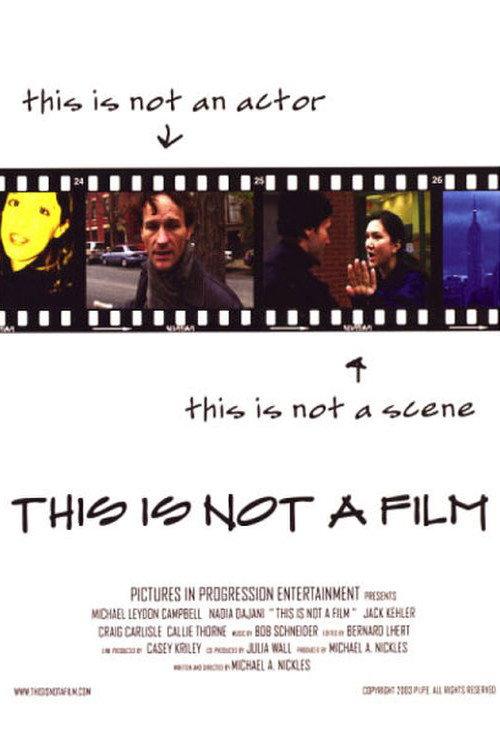 This is Not a Film 2004 official movie poster