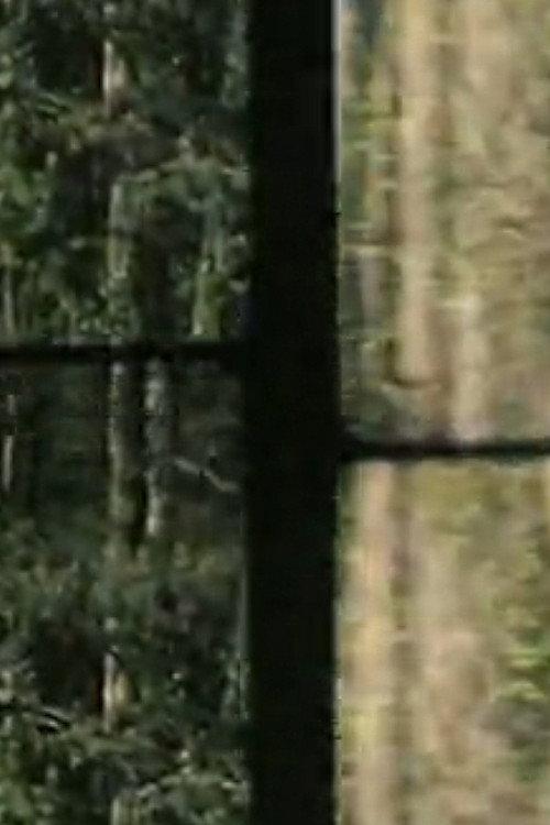 Arbres 1980 official movie poster