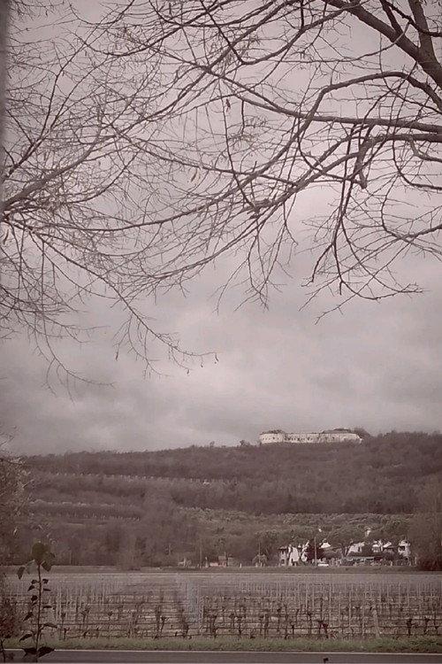 The Road, Chapter 1: Winter official movie poster