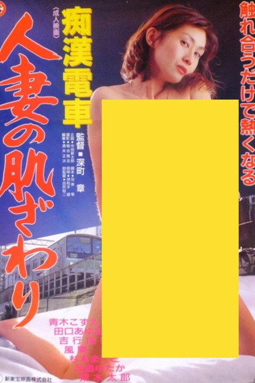 Groper Train: The Touch of a Married Woman 1995 official movie poster