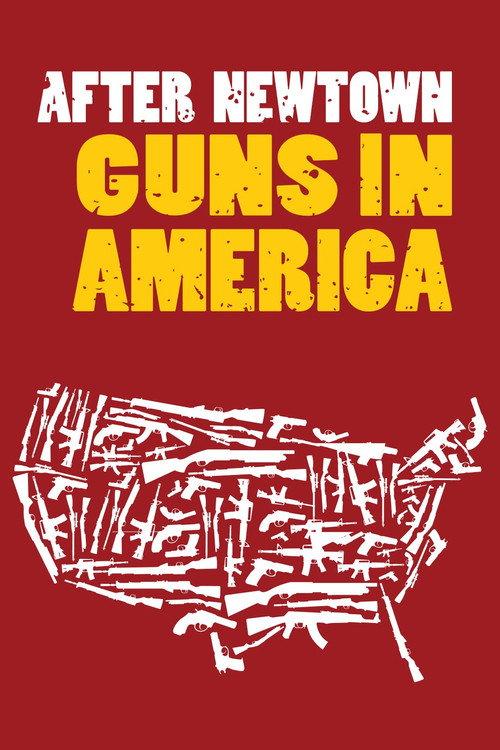 After Newtown: Guns in America 2013 official movie poster