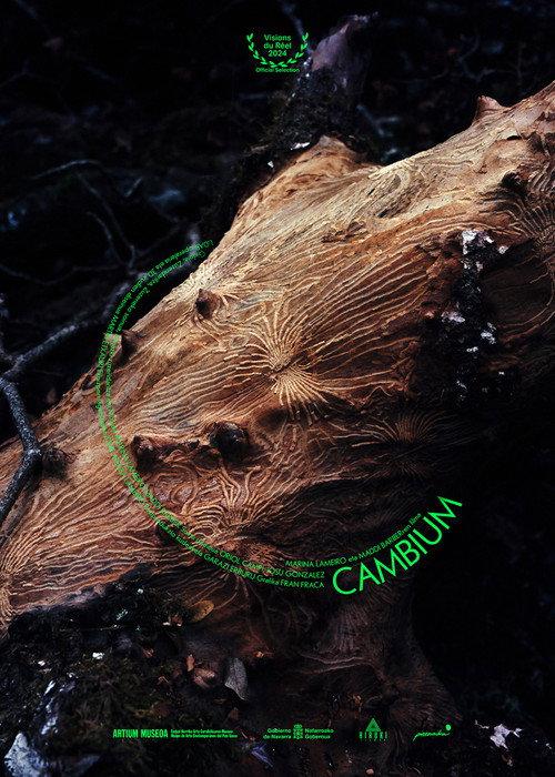 Cambium 2024 official movie poster