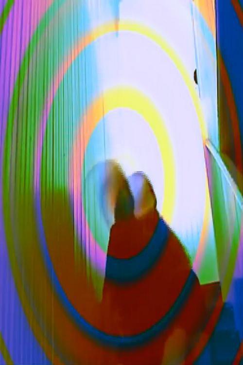 Free Form Frolic 2011 official movie poster