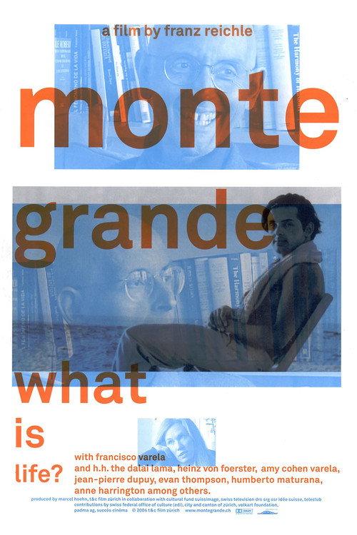 Monte Grande: What is Life? 2005 official movie poster