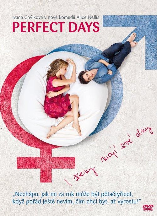 Perfect Days 2011 official movie poster