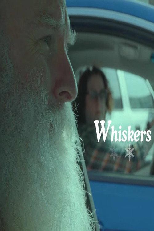 Whiskers - A Christmas Short Film 2025 official movie poster