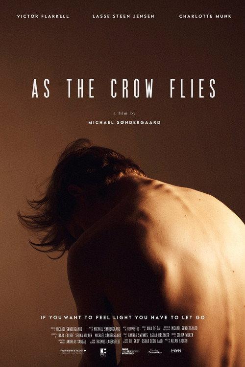 As the Crow Flies 2021 official movie poster