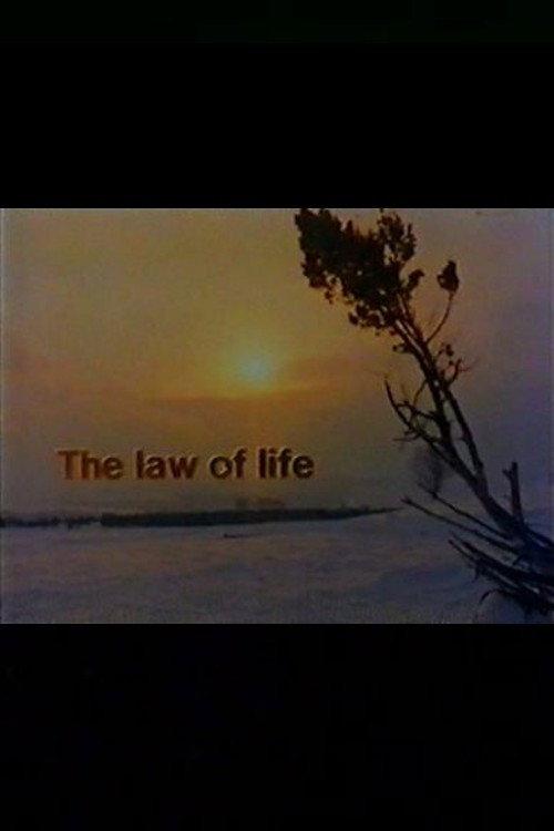 The Law of Life 1977 official movie poster