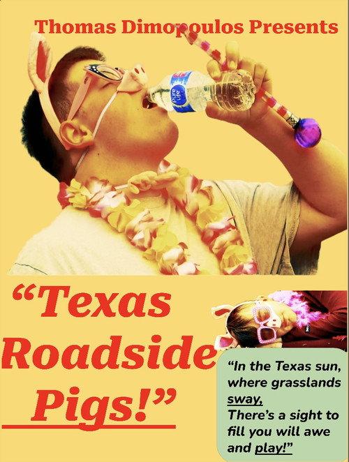 Texas Roadside Pigs! 2024 official movie poster