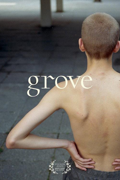 Grove 2020 official movie poster
