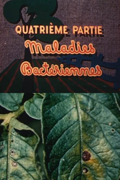 The Enemies of the Potato: Bacterial Diseases 1949 official movie poster