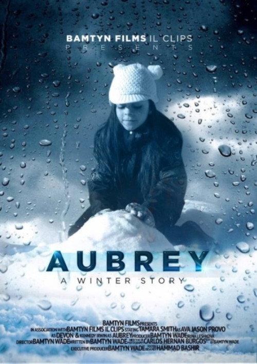 A Winter Story 2021 official movie poster