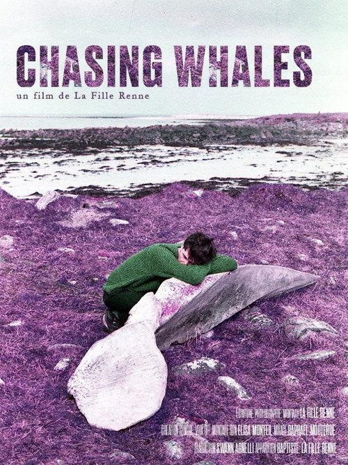 Chasing Whales 2025 official movie poster