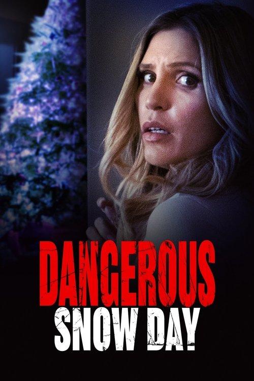 Dangerous Snow Day 2021 official movie poster