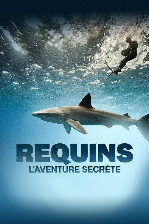 Sharks: The Secret Adventure 2022 official movie poster