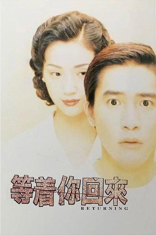 The Returning 1994 official movie poster