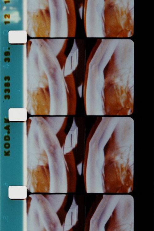 Log Abstract 1986 1986 official movie poster