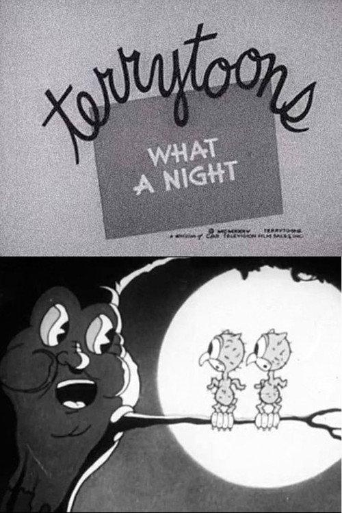 What a Night 1935 official movie poster