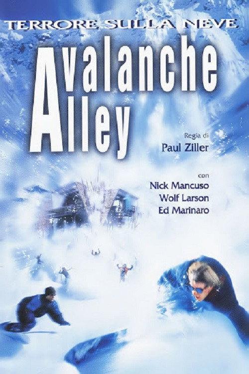 Avalanche Alley 2001 official movie poster