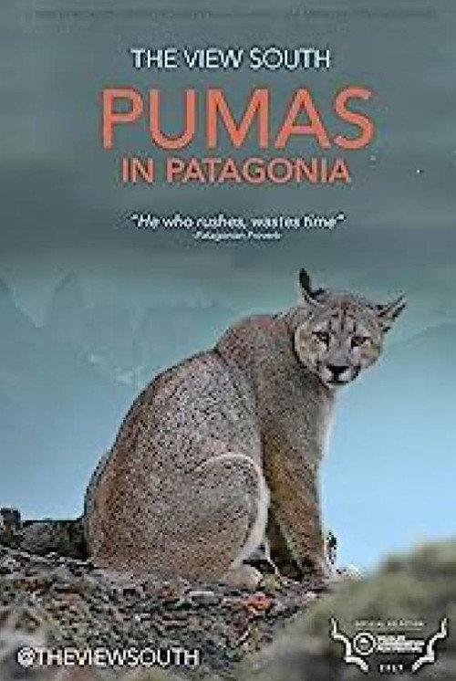 Pumas in Patagonia 2019 official movie poster