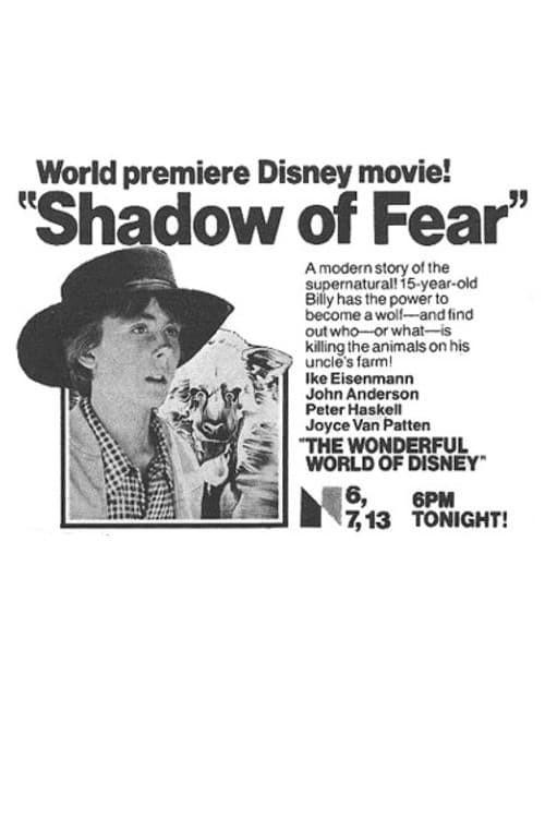 Shadow of Fear 1979 official movie poster