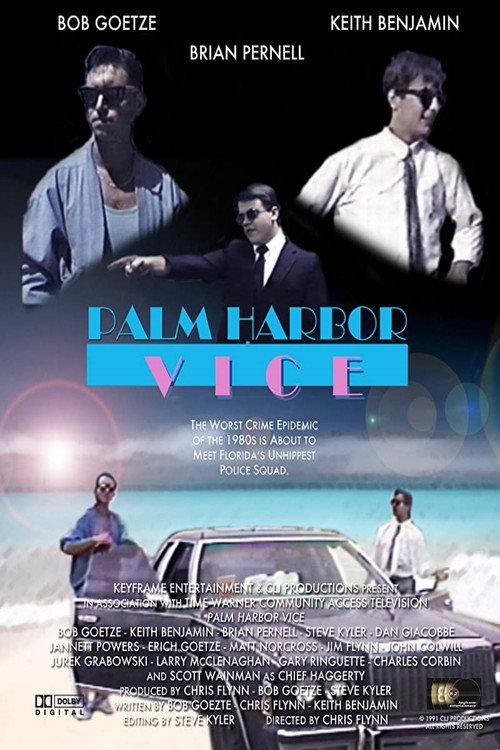 Palm Harbor Vice 1991 official movie poster