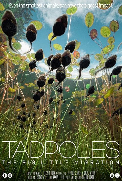 Tadpoles: The Big Little Migration 2020 official movie poster