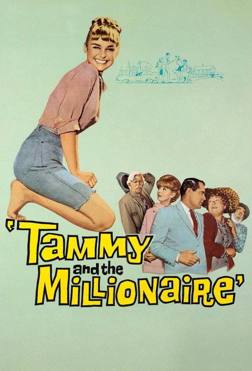 Tammy and the Millionaire 1967 official movie poster