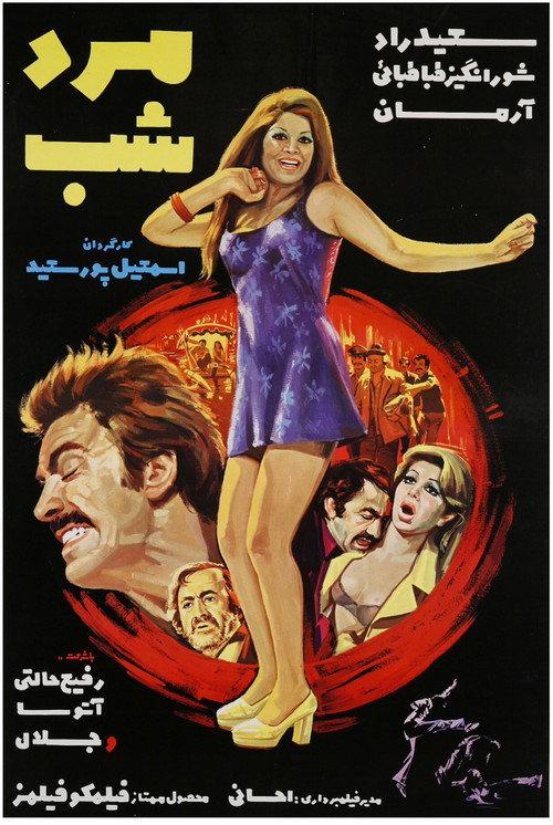 The Man of Night 1974 official movie poster