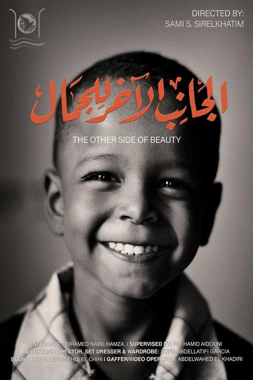 The Other Side of Beauty official movie poster
