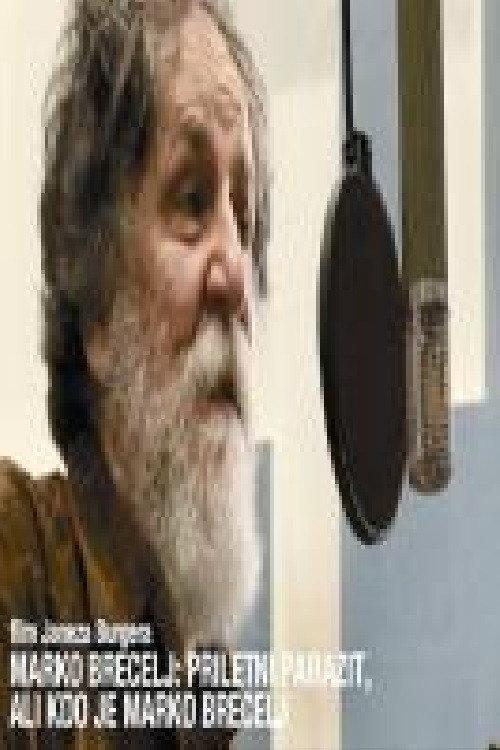 The Elderly Parasite or Who Is Marko Brecelj? 2013 official movie poster