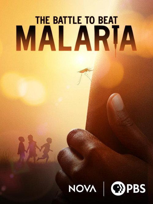 La batalla contra la malaria 2023 official movie poster