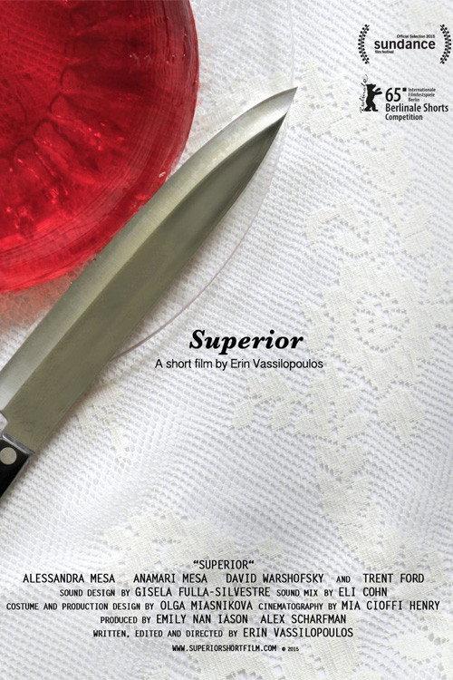 Superior 2015 official movie poster