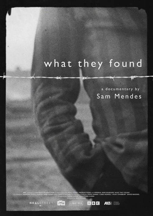What They Found 2025 official movie poster