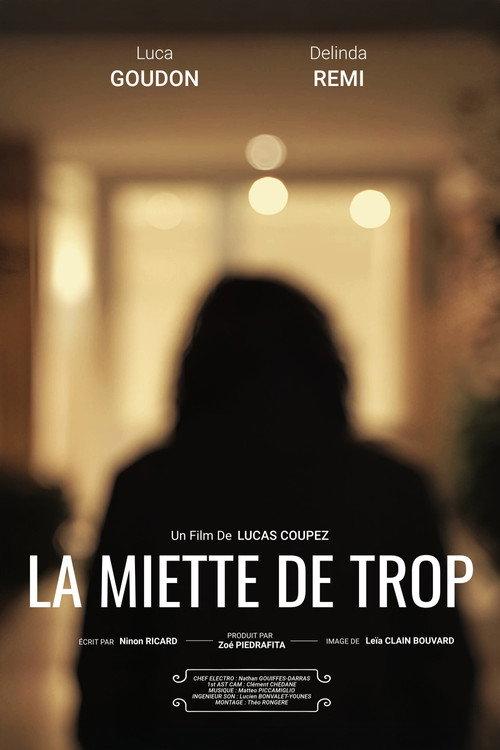 La Miette De Trop 2025 official movie poster