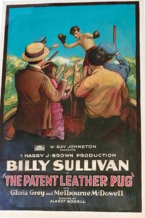 The Patent Leather Pug 1925 official movie poster