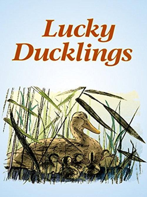 Lucky Ducklings 2014 official movie poster