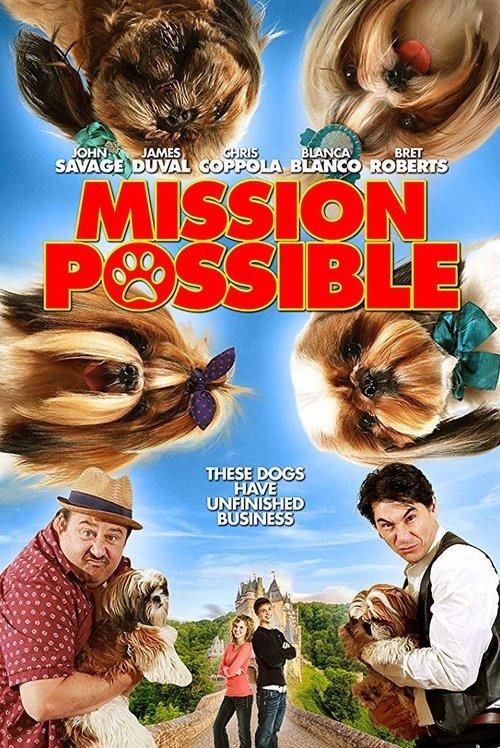 Mission Possible 2018 official movie poster