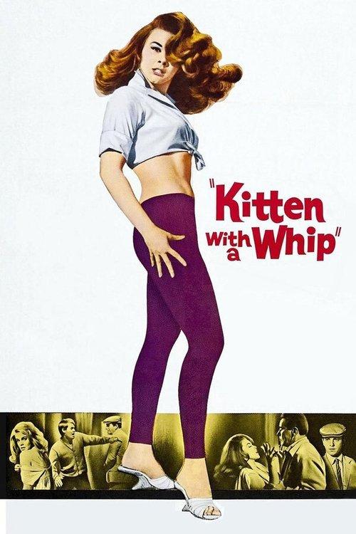 Kitten with a Whip 1964 official movie poster