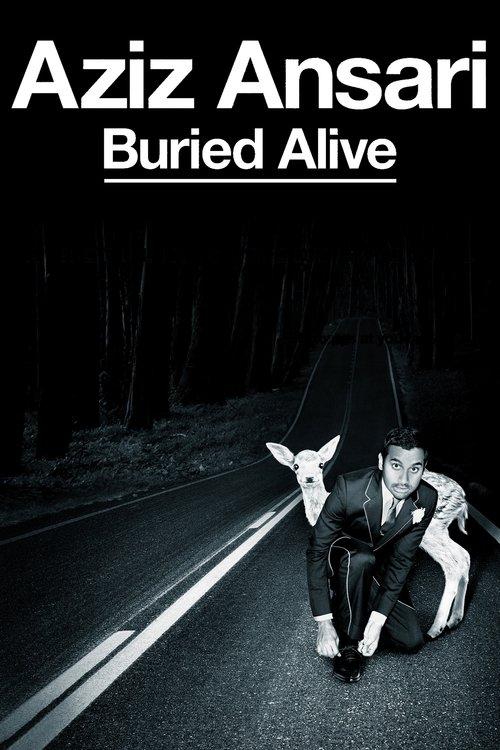 Aziz Ansari: Buried Alive 2013 official movie poster