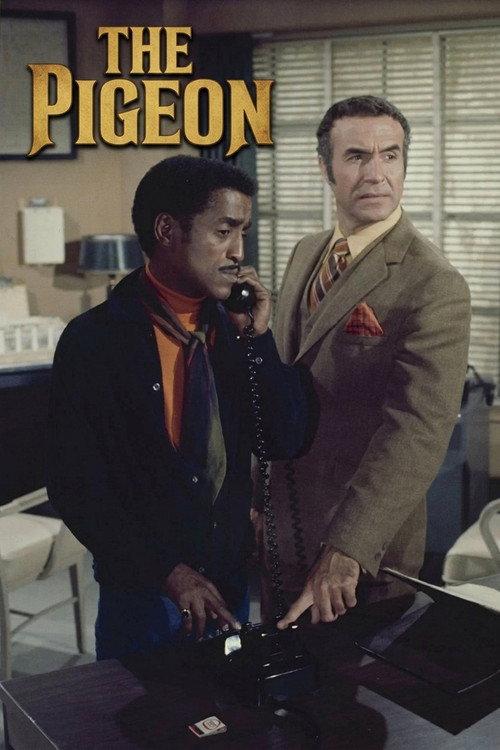 The Pigeon 1969 official movie poster