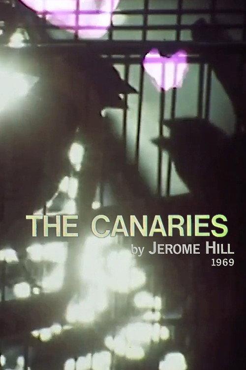 The Canaries 1969 official movie poster